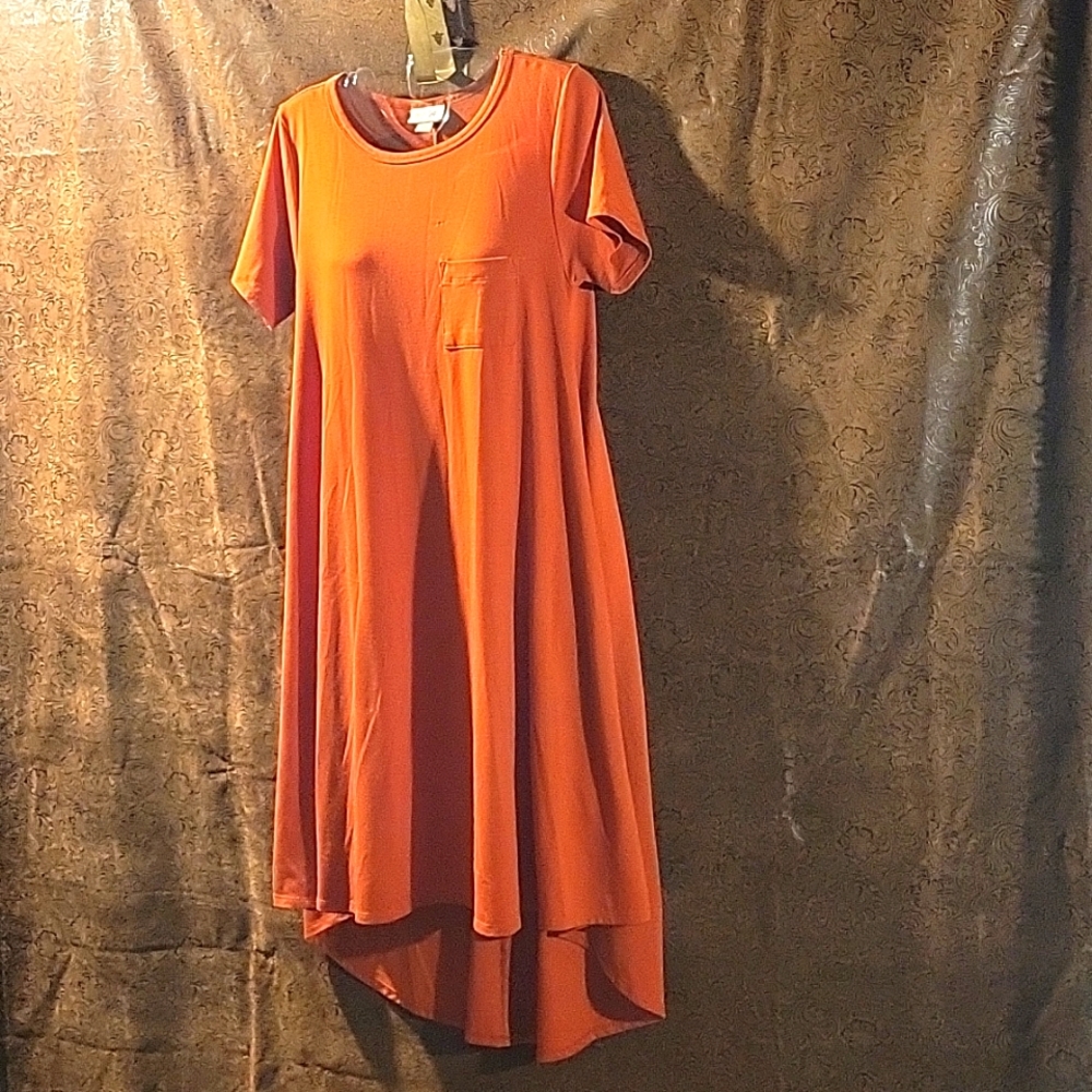 (LAST CALL) Lularoe burnt orange house dress